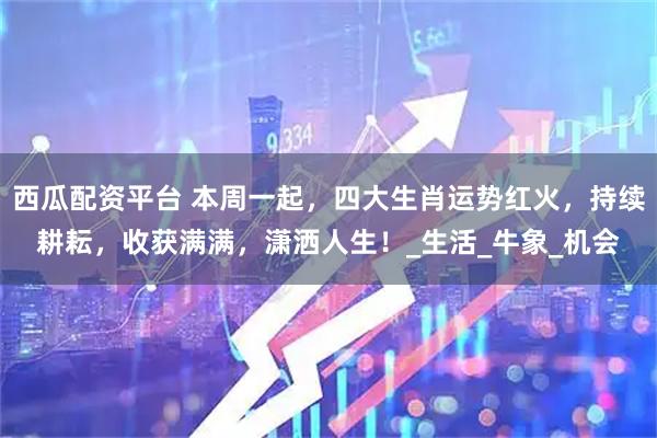 西瓜配资平台 本周一起，四大生肖运势红火，持续耕耘，收获满满，潇洒人生！_生活_牛象_机会