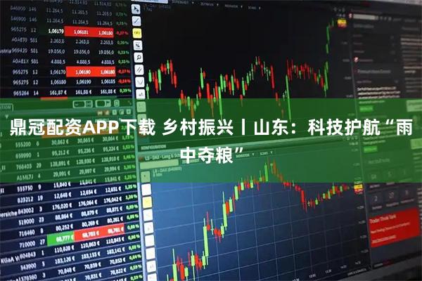 鼎冠配资APP下载 乡村振兴丨山东：科技护航“雨中夺粮”