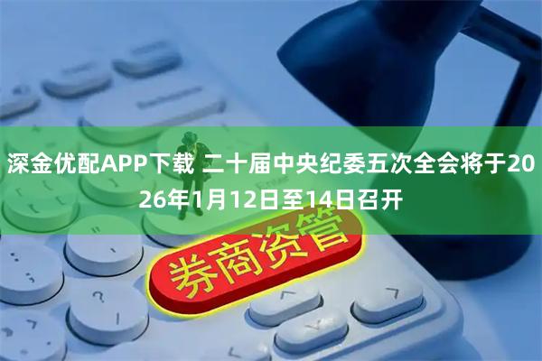 深金优配APP下载 二十届中央纪委五次全会将于2026年1月12日至14日召开
