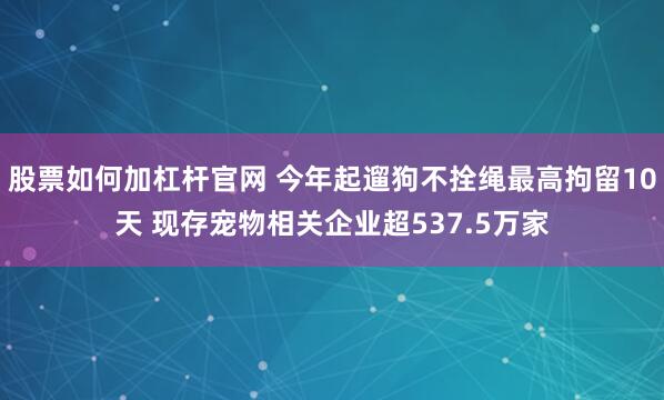 股票如何加杠杆官网 今年起遛狗不拴绳最高拘留10天 现存宠物相关企业超537.5万家