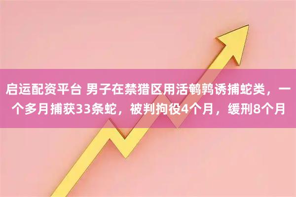 启运配资平台 男子在禁猎区用活鹌鹑诱捕蛇类，一个多月捕获33条蛇，被判拘役4个月，缓刑8个月