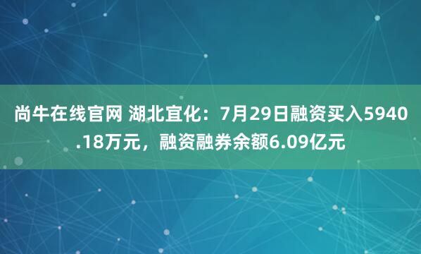 尚牛在线官网 湖北宜化：7月29日融资买入5940.18万元，融资融券余额6.09亿元