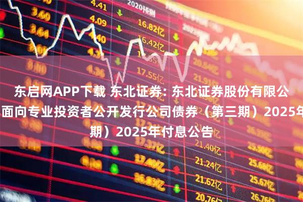 东启网APP下载 东北证券: 东北证券股份有限公司2024年面向专业投资者公开发行公司债券（第三期）2025年付息公告
